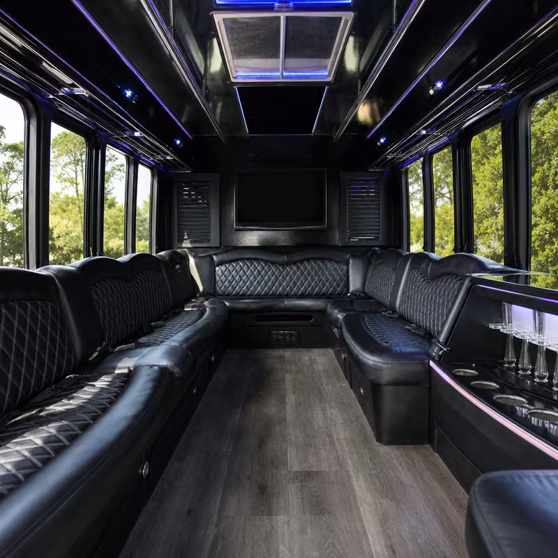 Passenger watching the New York scenery during a regional party bus road trip